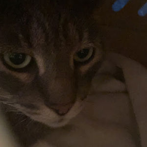 Meet your Posher, Kelly